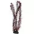 Muovikasvi Eusteralis 39Cm - Muovikasvit akvaarioon - D51583 - 1