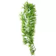 Muovikasvi Tropica Imukupilla 70Cm - Roikkuvat muovikasvit - D37013 - 1