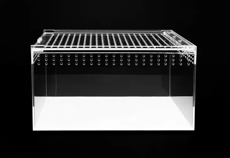 Akryyliterraario 25X15X15 - Muoviterraariot / pienet terraariot - HAPBX53 - 1