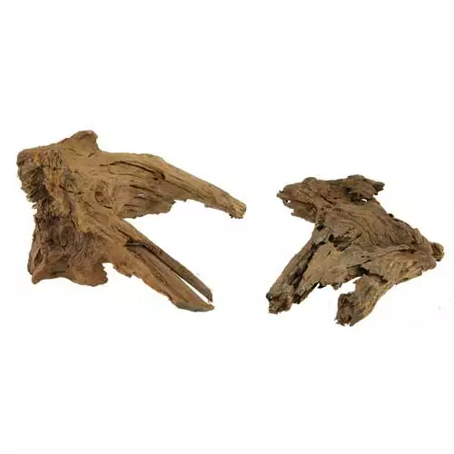 Mangrove, L 35-50Cm - Juurakot ja puut akvaarioon - D40643 - 1