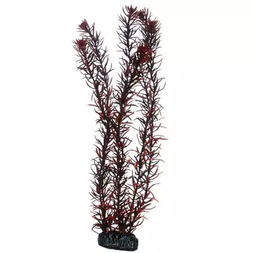 Muovikasvi Eusteralis 39Cm - Muovikasvit akvaarioon - D51583 - 1