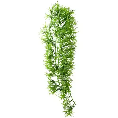 Muovikasvi Tropica Imukupilla 70Cm - Roikkuvat muovikasvit - D37013 - 1