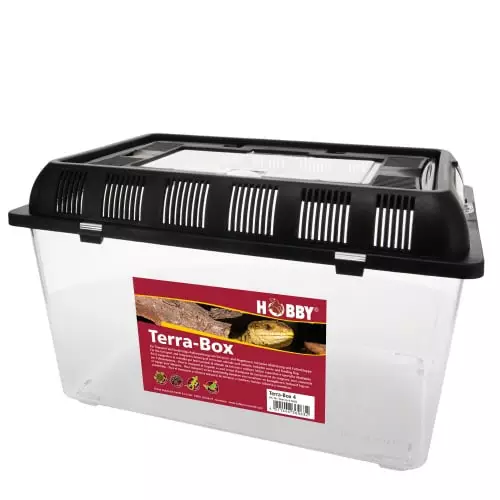 Terra Box 4 Kuljetuslaatikko 42X26X16Cm - Kuljetus- ja säilytyslaatikot - D36063 - 1