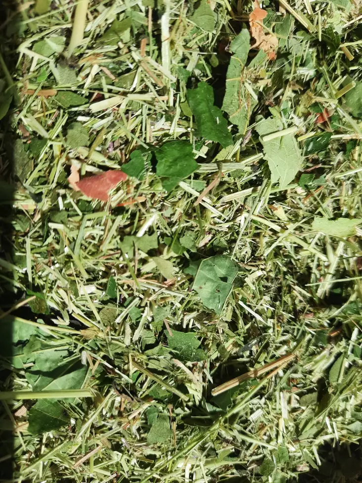 Unituvan Maakonnan Ruoka 2L - Terraarioeläinten kuivaruoat - UNI123 - 1