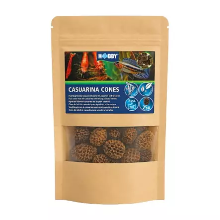 Casuarina cones Casuarinapuun käpyjä 25kpl - Catappa-tuotteet ja muut vastaavat - D51124 - 1