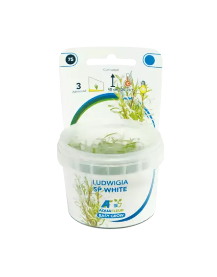 Rusolehti Valkea Vitro Kupissa - Akvaarion keskialan kasvit - 81474 - 2