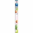 Juwel Led Colour 19W 742Mm - Juwel led-putket akvaarioon - 117.1144 - 2
