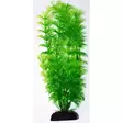 Plastic Plant Ap-048 8 (20cm) - Muovikasvit akvaarioon - AE201504 - 1