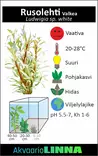 Rusolehti Valkea Vitro Kupissa - Akvaarion keskialan kasvit - 81474 - 4