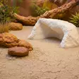 Terrano clay powder valkoinen 1,3kg - Terraarion muut piilot - D33214 - 7