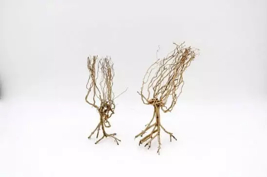 Aavikko Puu S - Aidot puut - PH094 - 1