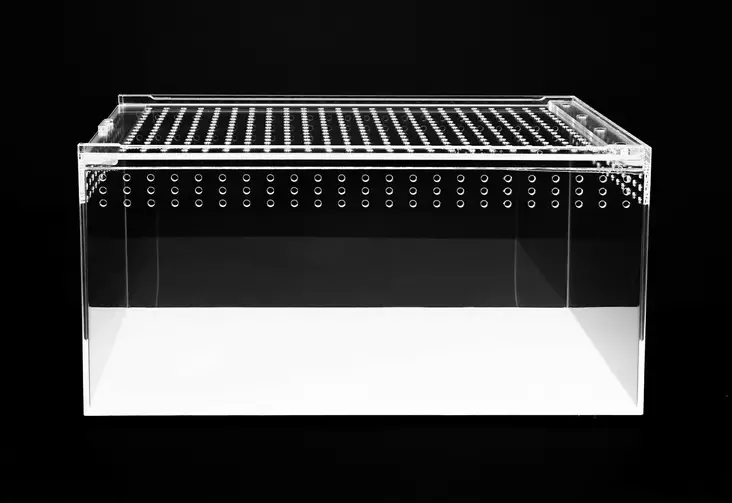 Akryyliterraario 30X20X15 - Muoviterraariot / pienet terraariot - HAPBX54 - 1