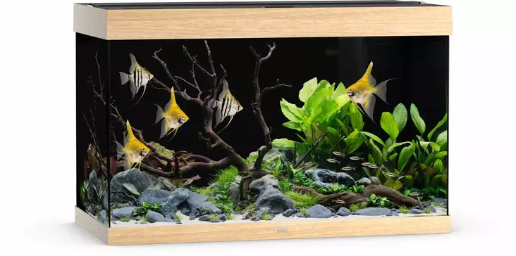 Juwel Rio 290 Led vaalea puu - 101-200 litraiset akvaariopaketit  - 107.1294 - 1