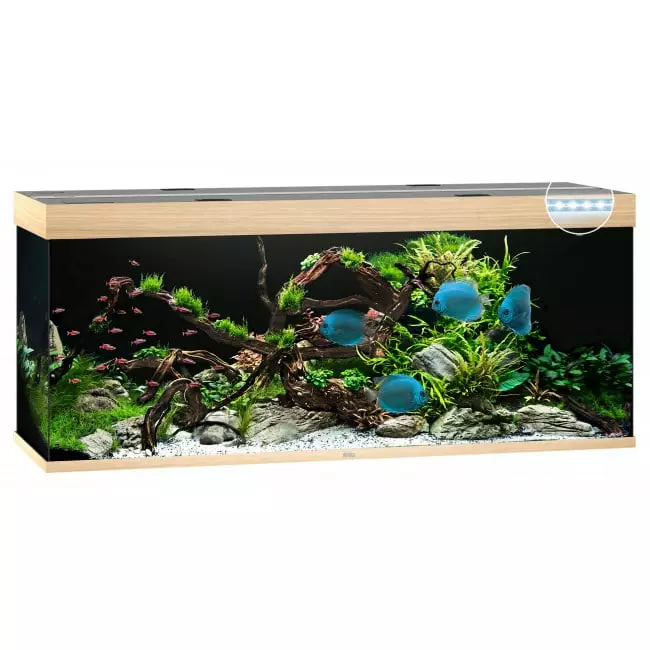 Juwel Rio 450 Led Vaaleapuu - 301 litraiset ja suuremmat akvaariopaket - 107.1404 - 1