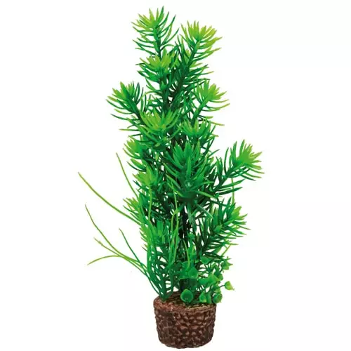 Muovikasvi Pensasojakaali 25Cm - Muovikasvit akvaarioon - D51534 - 1