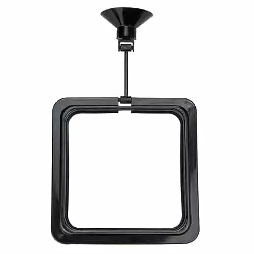 Ruokinta Rengas Neliö Imukupilla 10X10Cm - Kalojen ruokintavälineet - D61304 - 1