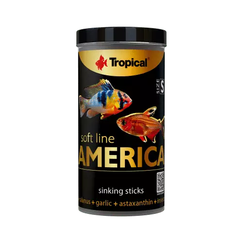 Tropical soft line sticks america S 250ml - Proteiini rakeet  - T67414 - 1