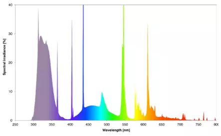 Arcadia D3 Dragon 14% T5 loisteputki 39w - T5 Loisteputket terraarioon - AR2100405 - 2