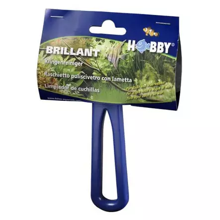 Brillant Leväraappa Terällä - Akvaarion terälliset leväraapat - D61495 - 2