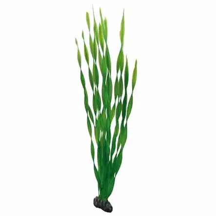 Muovikasvi Vallisneria 60Cm - Muovikasvit akvaarioon - D41505 - 1