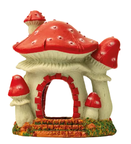 Sf Sienitalo S - Luolat ja kutuluolat akvaarioon - A4021505 - 1