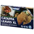 Catappa Lehtiä Xl - Catappa-tuotteet ja muut vastaavat - D51105 - 1