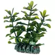 Plantasy Set 6, Sb - Muovikasvit akvaarioon - D51485 - 10