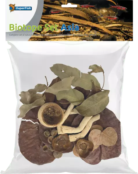 Biotooppi pakkaus Aasia - Catappa-tuotteet ja muut vastaavat - A4080455 - 1