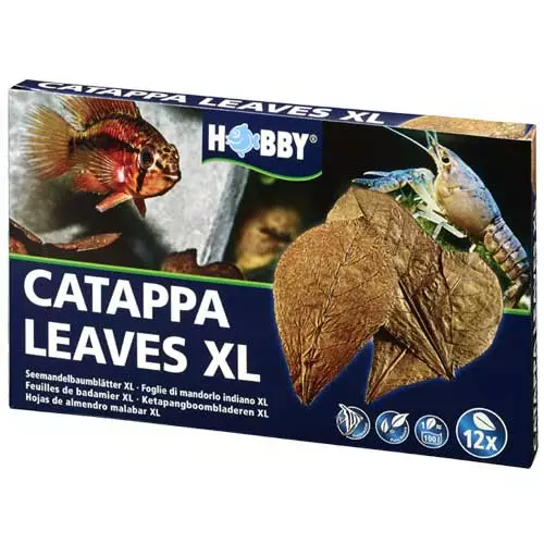 Catappa Lehtiä Xl - Catappa-tuotteet ja muut vastaavat - D51105 - 1