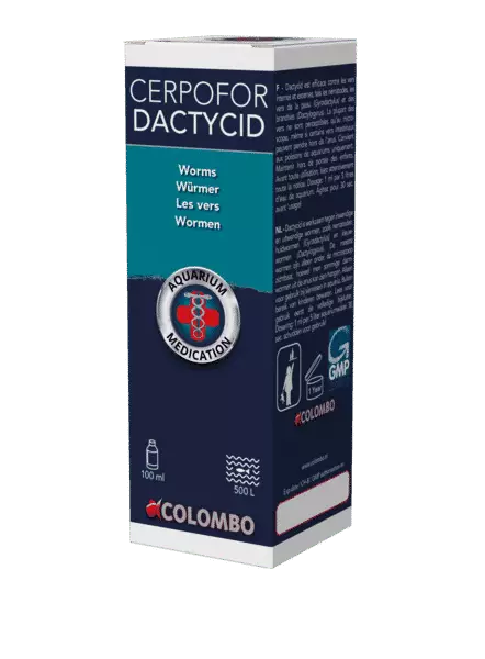 Dactycid kidusloiten hoitoon - Itsehoitoaineet kaloille akvaarioon - A5010755 - 1