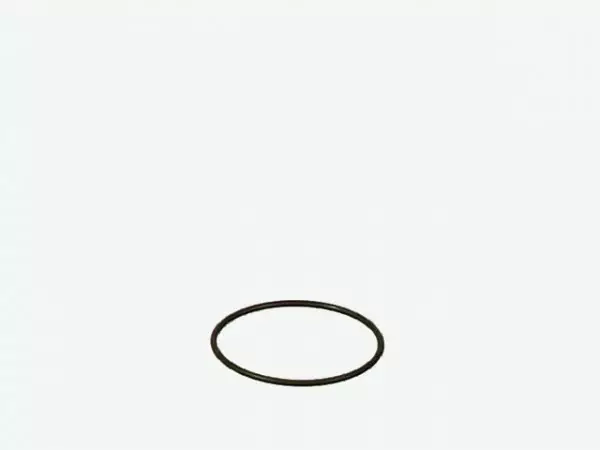 Eheim Tiiviste Lukkorenkaaseen 2226/27/2 - Akvaarion ulkosuodattimien varaosat - E25505 - 1