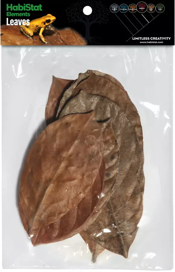 Habistat Jackfruit lehdet 10kpl - Lehdet - AR5100835 - 1