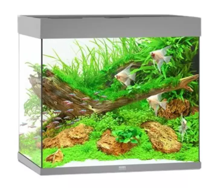 Juwel Lido 120 Led harmaa - 101-200 litraiset akvaariopaketit  - 107.2125 - 1