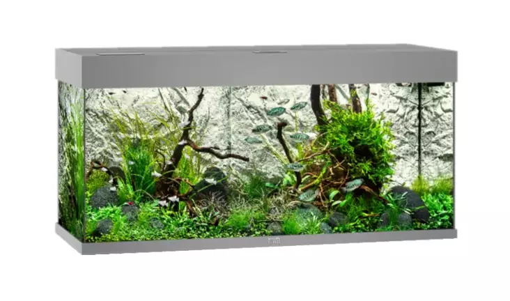 Juwel Rio 180 Led Harmaa - 101-200 litraiset akvaariopaketit  - 107.1185 - 1
