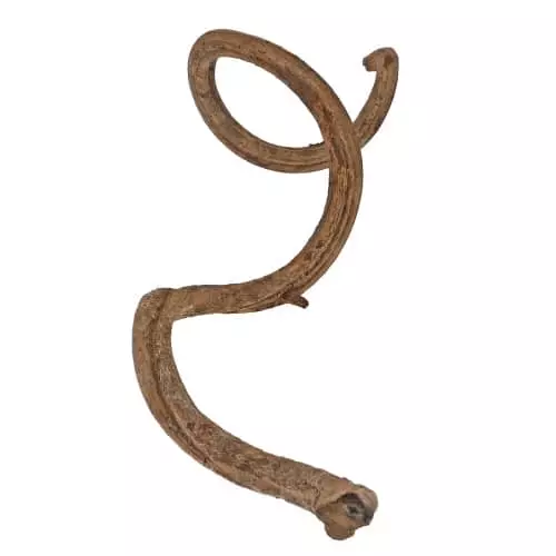 Kihara liaani 90-100cm - Liaanit terraarioon - D34165 - 1