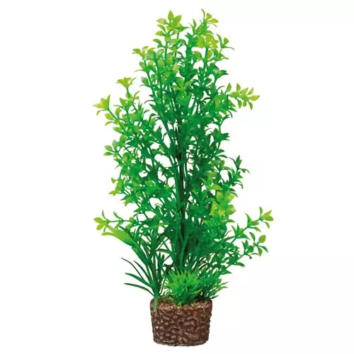 Muovikasvi Intianvesitähdikki 25Cm - Muovikasvit akvaarioon - D51535 - 1