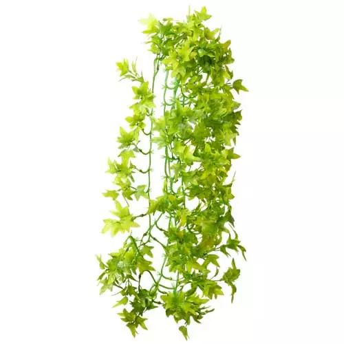Muovikasvi Muratti Imukupilla 70Cm - Roikkuvat muovikasvit - D37015 - 1