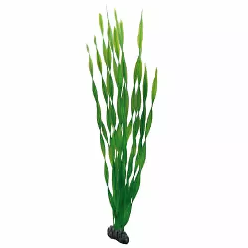 Muovikasvi Vallisneria 60Cm - Muovikasvit akvaarioon - D41505 - 1