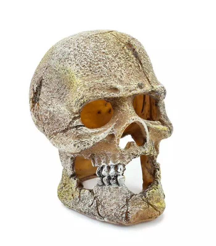 Pääkallo 17cm - Pääkallot ja hirviöt akvaarioon - HAPU715 - 1