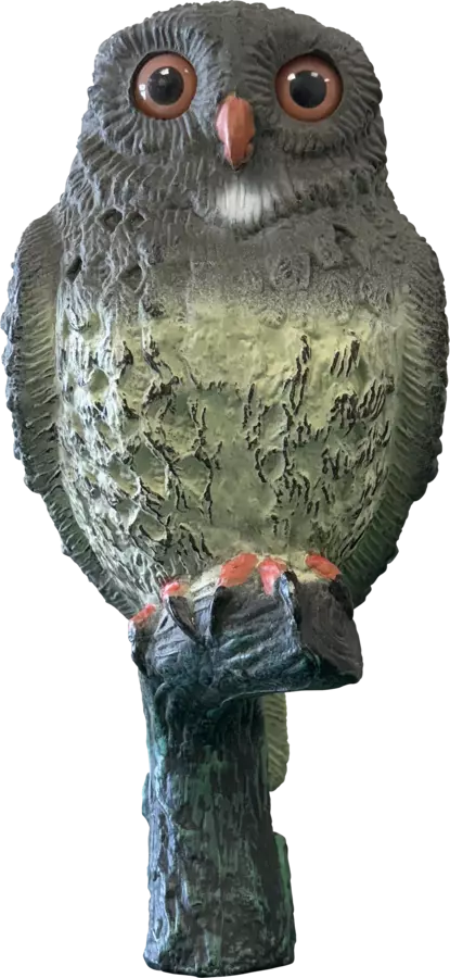 Pieni pöllö koriste - Lammen koristeet - A06091025 - 1