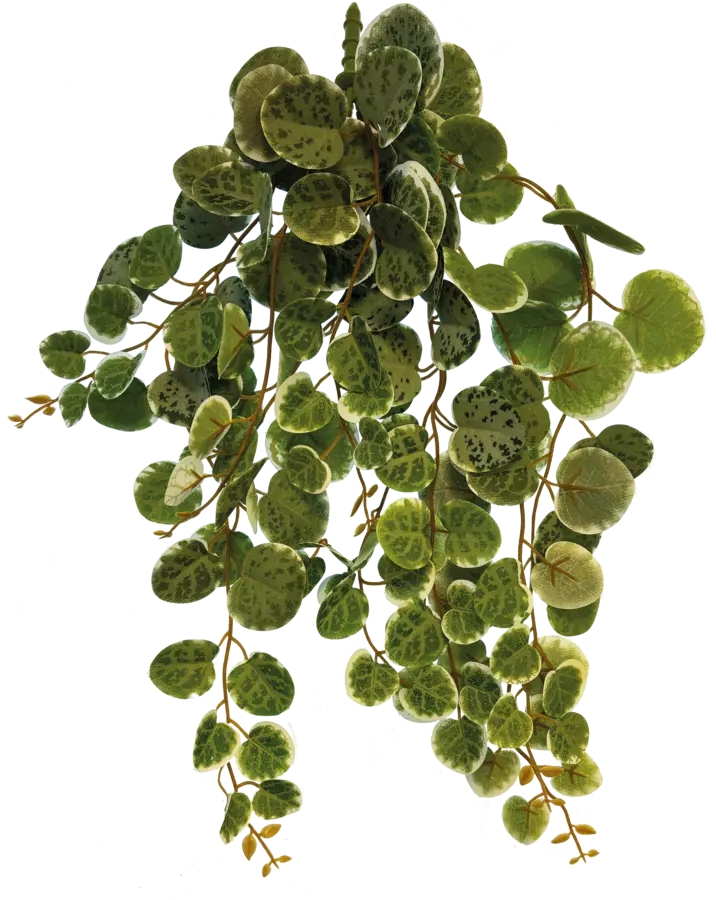 Repto Plant Hanging Round Leaves46 Cm - Roikkuvat muovikasvit - AR5100405 - 1