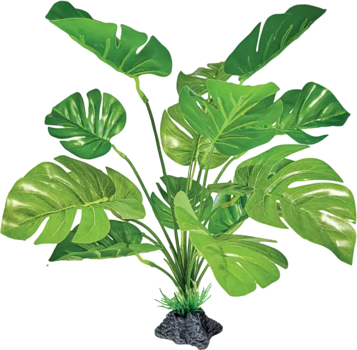 Repto Plant peikonlehti muovikasvi - Muovikasvit jalalla - AR5100475 - 1