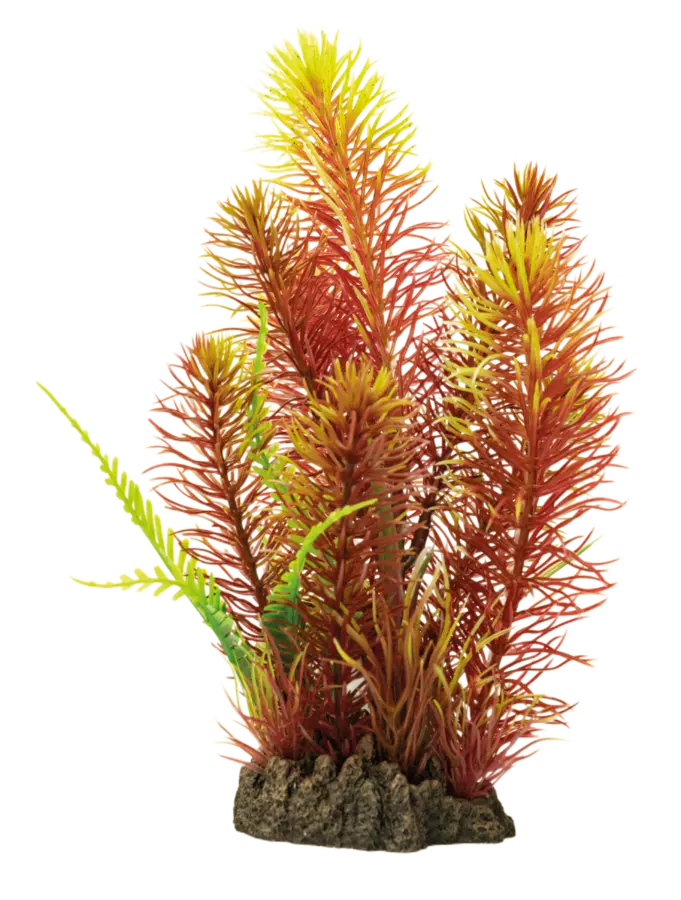 Sf Art Plants 25Cm Myriophyllum red - Muovikasvit akvaarioon - A4070835 - 1