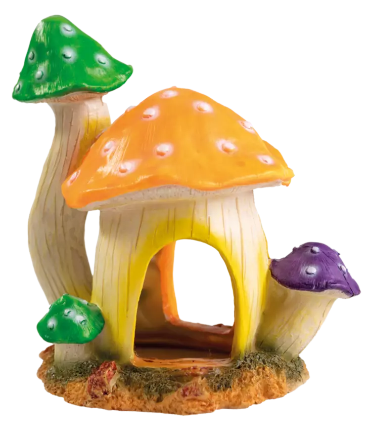 Sf Sienitalo L - Luolat ja kutuluolat akvaarioon - A4021515 - 1