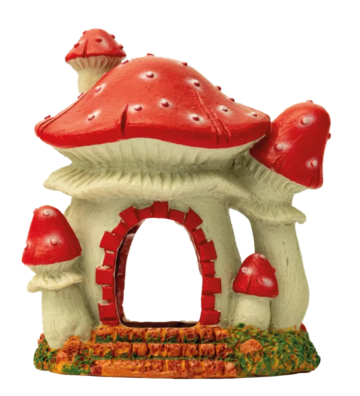 Sf Sienitalo S - Luolat ja kutuluolat akvaarioon - A4021505 - 1