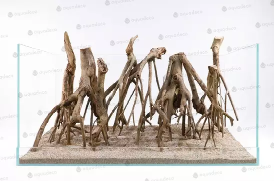 Talawapuu - Juurakot ja puut akvaarioon - H095 - 1