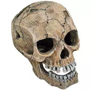 Pääkallo 20Cm - Kivijäljitelmät ja luolat akvaarioon - 137.2966 - 2