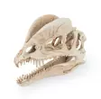 Dinosauruksen kallo 19 cm - Muut koristeet - HAPR176 - 3