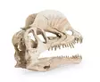 Dinosauruksen kallo 19 cm - Muut koristeet - HAPR176 - 4
