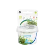 Hapsurusolehti Vitro Kupissa - Akvaarion keskialan kasvit - 81476 - 1